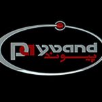 Payvand Live TV - پخش زنده شبکه پیوند