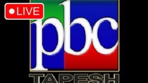 Tapesh TV Live - پخش زنده شبکه طپش