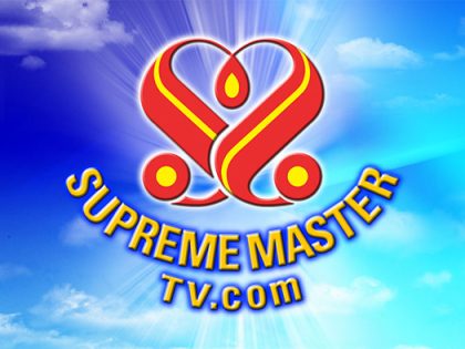 Supreme Master Television TV Live