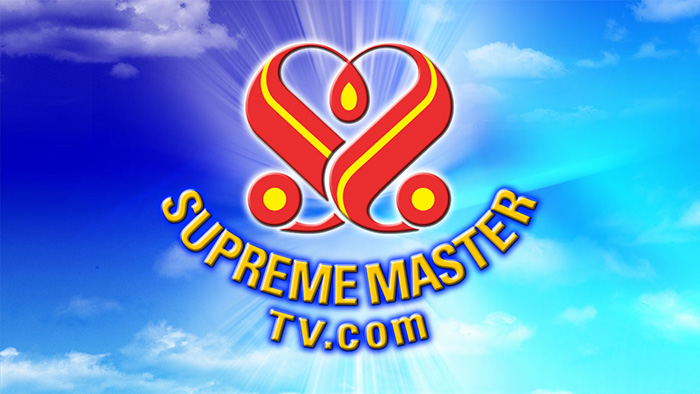 Supreme Master Television TV Live